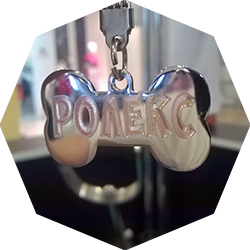 Гравировка на кулонах для животных